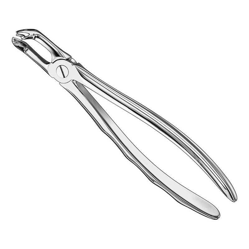 Extracting forceps, anat. FamCare Instruments