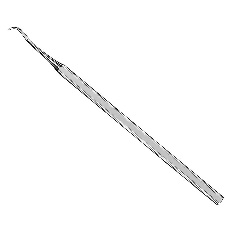 Provisional prosthesis lifter FamCare Instruments